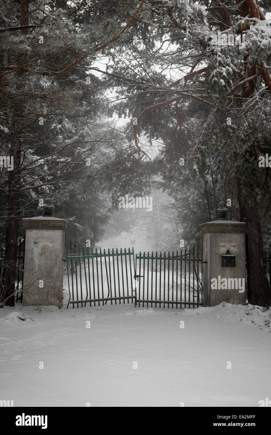 Spooky vieux gate sur allée en hiver Banque D'Images