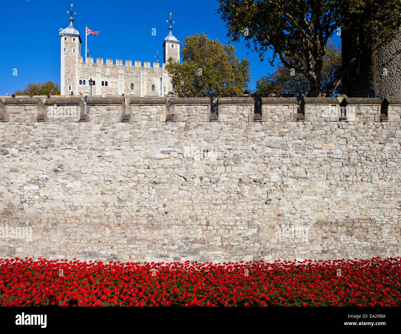 Une vue montrant les coquelicots en céramique du "Sang a balayé les terres et les mers de l'installation Red' à la Tour de Londres. L'installation Banque D'Images