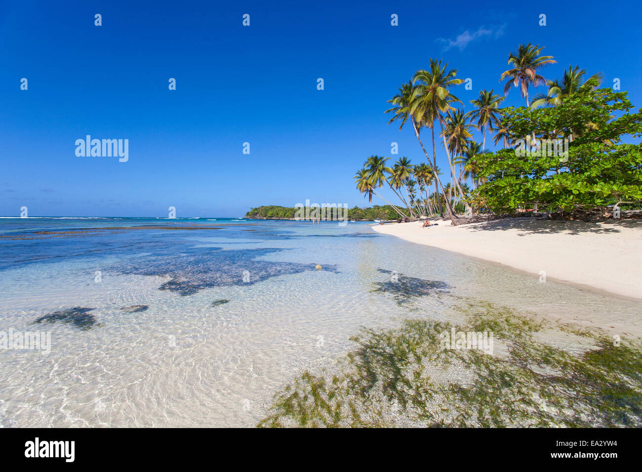 La Playita Plage Las Galleras P ninsule De Samana R publique la-playita-plage-las-galleras-p-ninsule-de-samana-r-publique