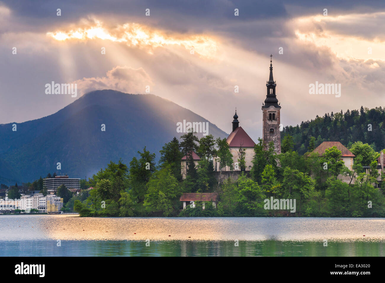 Le lac de Bled lever du soleil paysage, montrant le lac de Bled Église de l'île, région de Gorenjska, Slovénie, Europe Banque D'Images