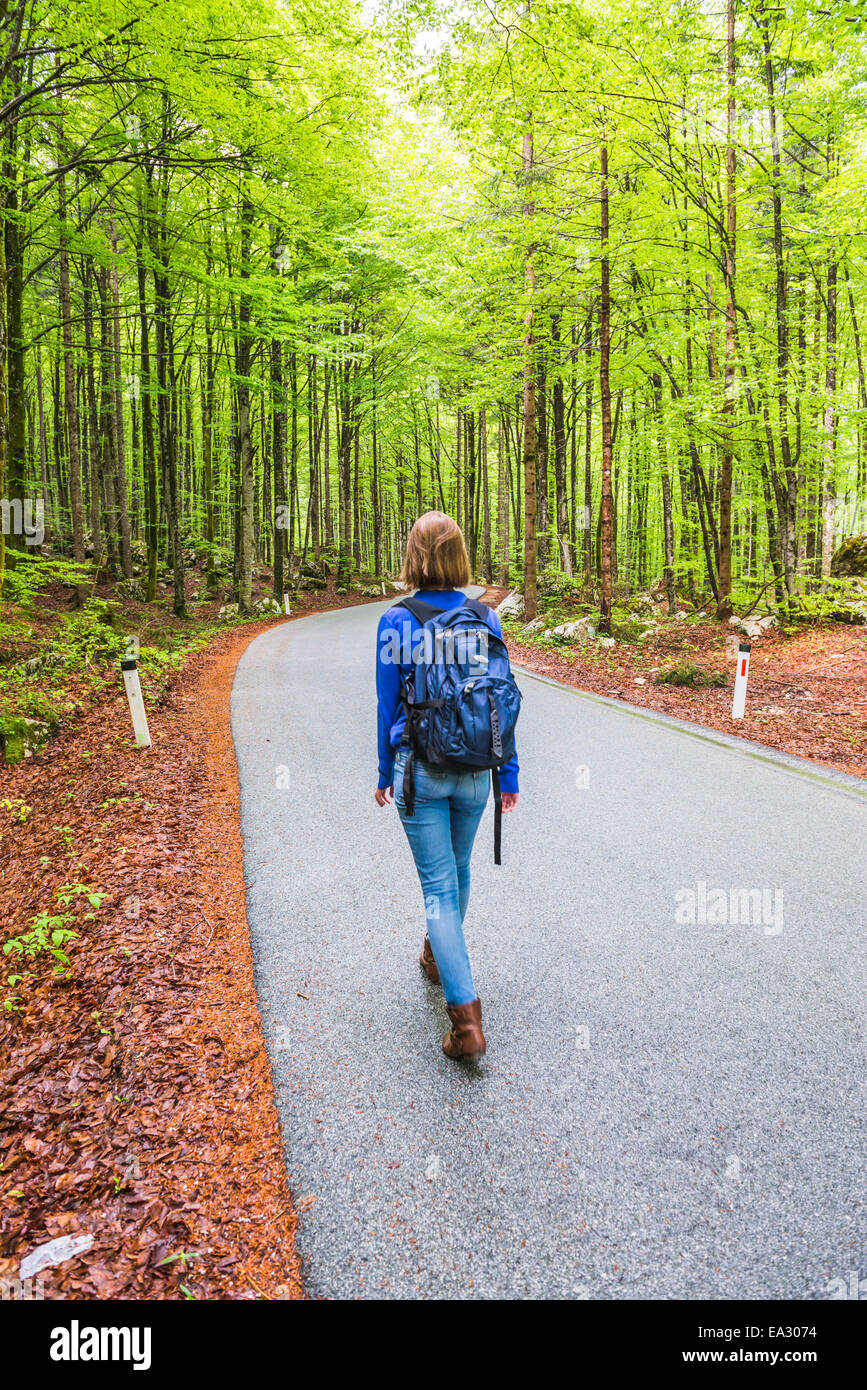 Lac de Bohinj, balades touristiques dans une forêt de pins, parc national du Triglav, Alpes Juliennes, en Slovénie, Europe Banque D'Images