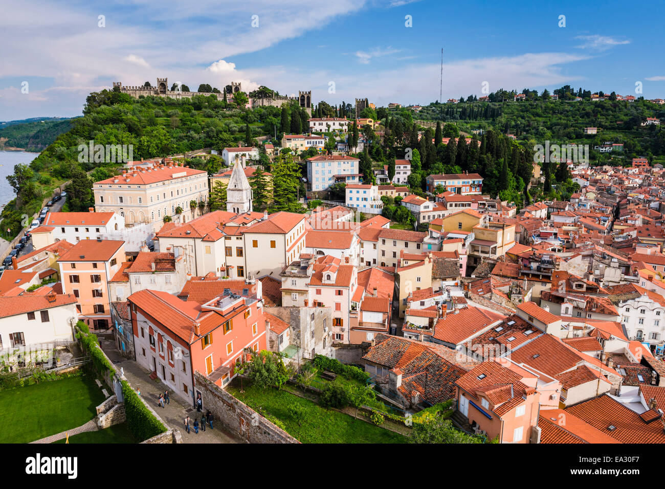 Piran Piran et remparts de la ville, du point de vue de l'église de Saint George, Piran, Slovénie Primorska, Istrie, Slovénie, Europe Banque D'Images