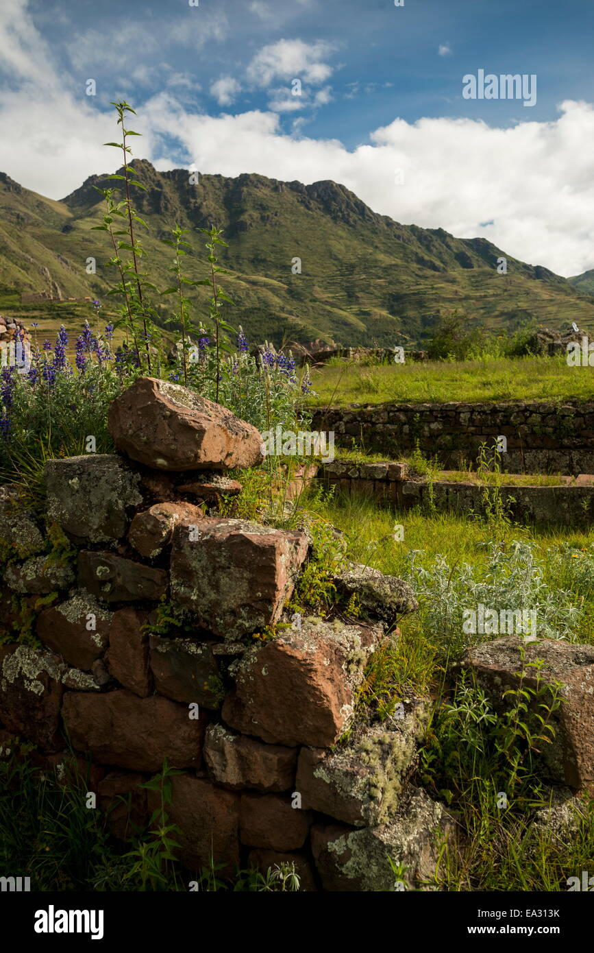 Voir à partir de la citadelle Inca de Pisac ruines, Pisac, Vallée Sacrée, le Pérou, Amérique du Sud Banque D'Images