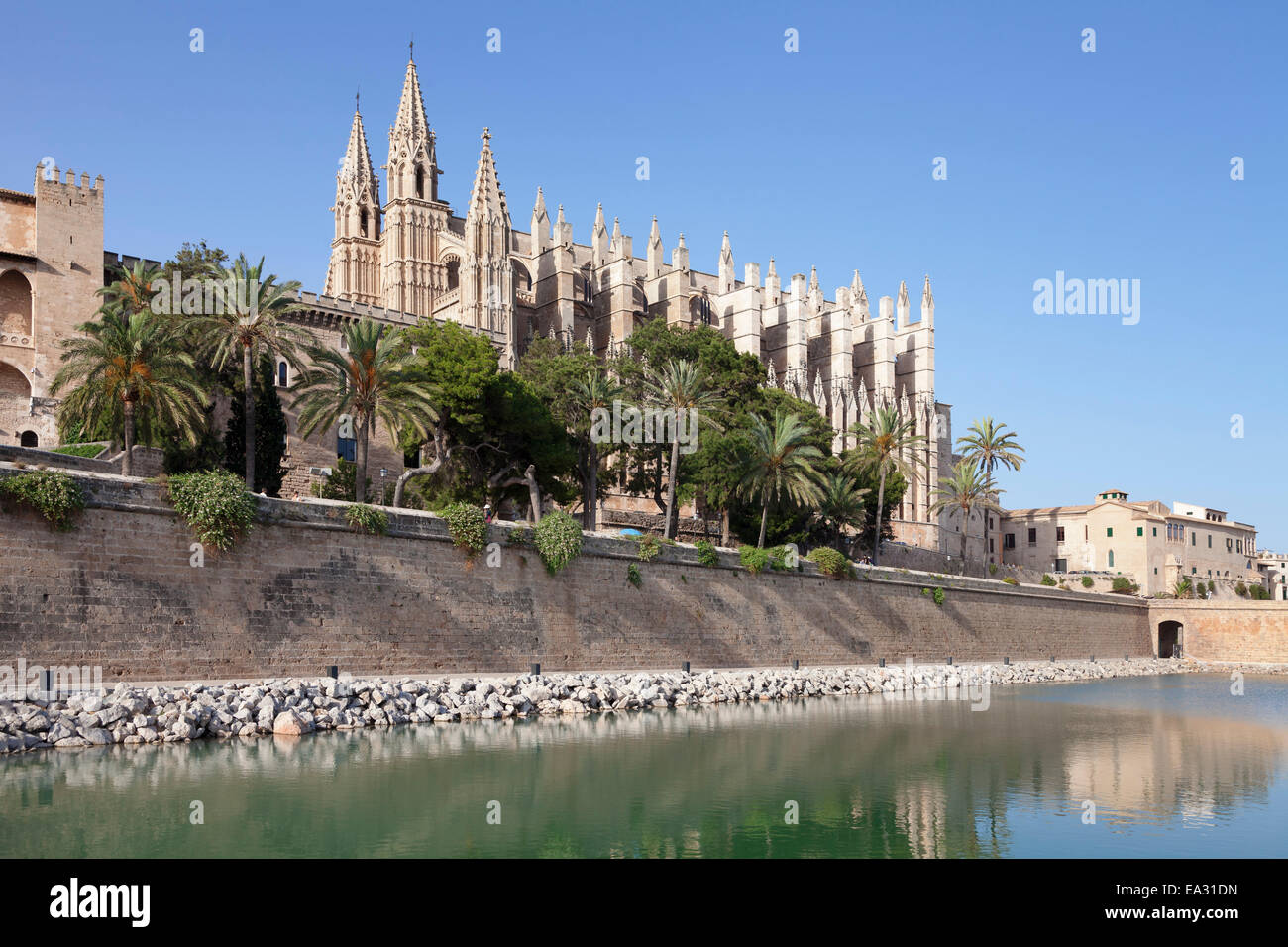 Cathédrale de Santa Maria de Palma (La Seu), Parc de la Mar, Palma de Mallorca, Iles Baléares, Espagne, Méditerranée Banque D'Images