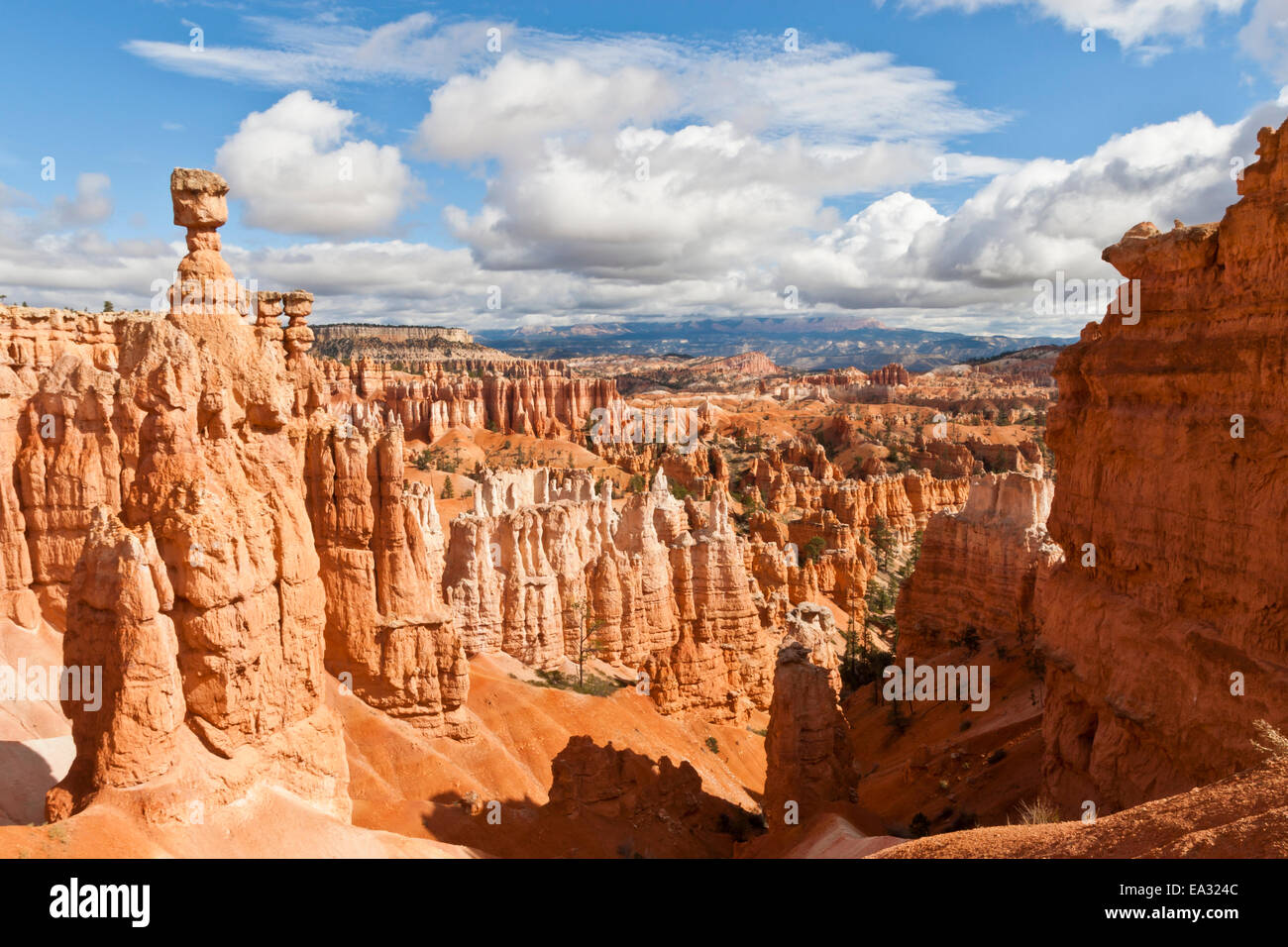 Le marteau de Thor de la boucle Navajo Trail sur un partiellement nuageux day, Bryce Canyon National Park, Utah, USA Banque D'Images