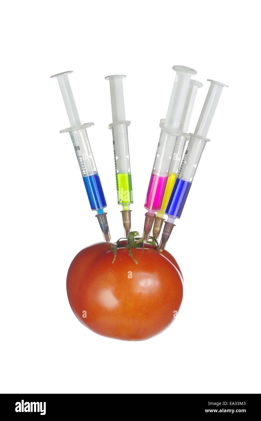 L'injection dans des tomates rouges sur fond blanc Banque D'Images
