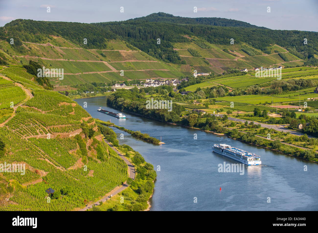 Bateau de croisière en passant par la plus forte du Riverbend à Bremm vignoble situé, vallée de la Moselle, Rhénanie-Palatinat, Allemagne Banque D'Images
