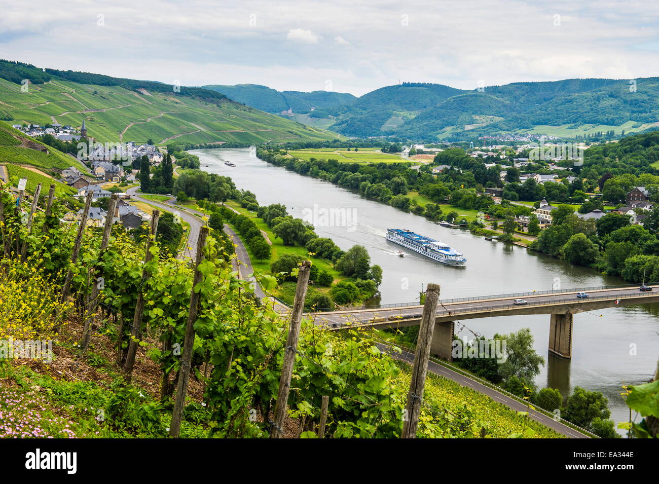 Bateau de croisière passant le vignoble près de Lieser dans la vallée de la Moselle, Rhénanie-Palatinat, Allemagne, Europe Banque D'Images