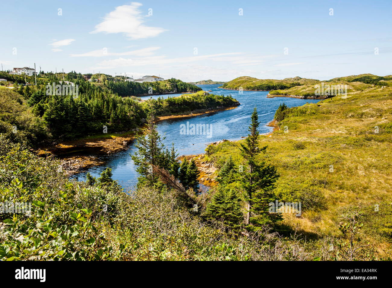 Magnifique étang près de Port aux Basques, à Terre-Neuve, au Canada, en Amérique du Nord Banque D'Images