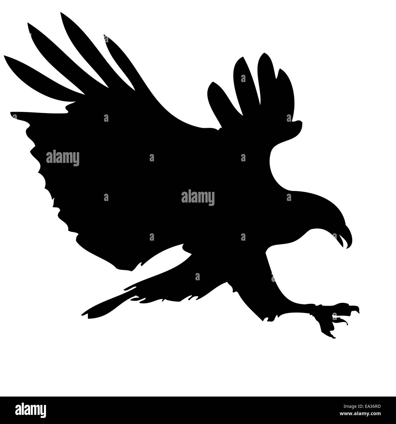 Aigle chasse Banque D'Images