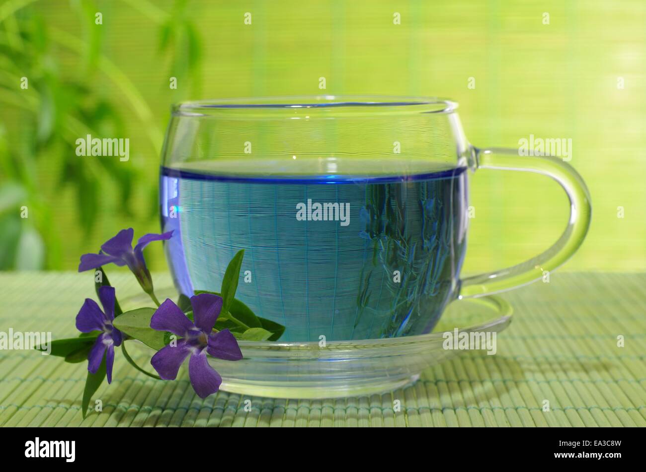 Tasse de thé bleu en arrière-plan" sur les plantes Banque D'Images