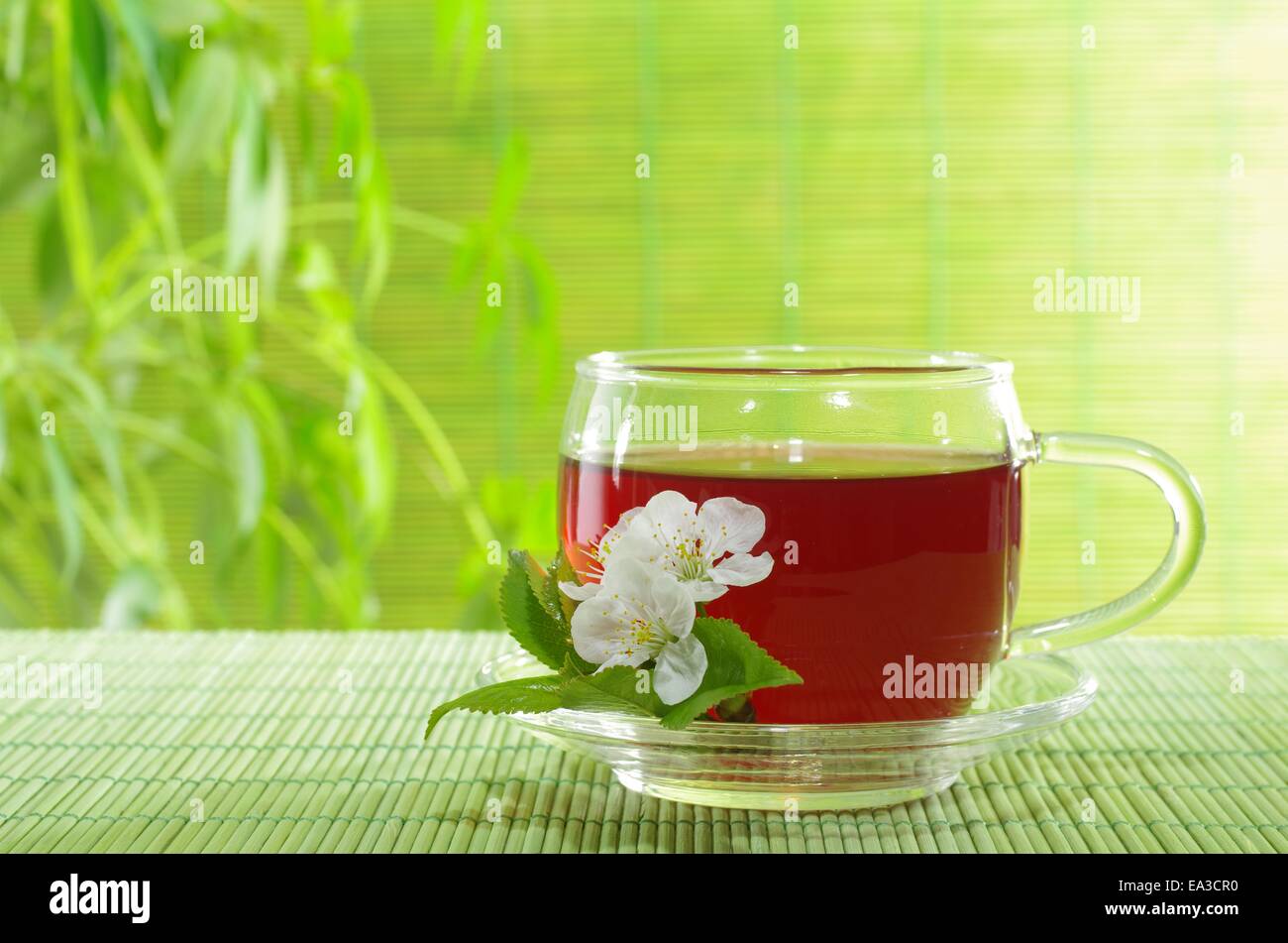 Tasse à thé rouge sur fond des plantes Banque D'Images