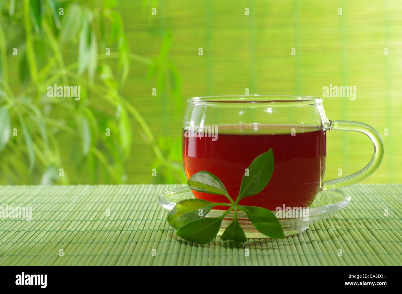 Tasse de thé dans la pourriture sur les plantes d'arrière-plan' Banque D'Images