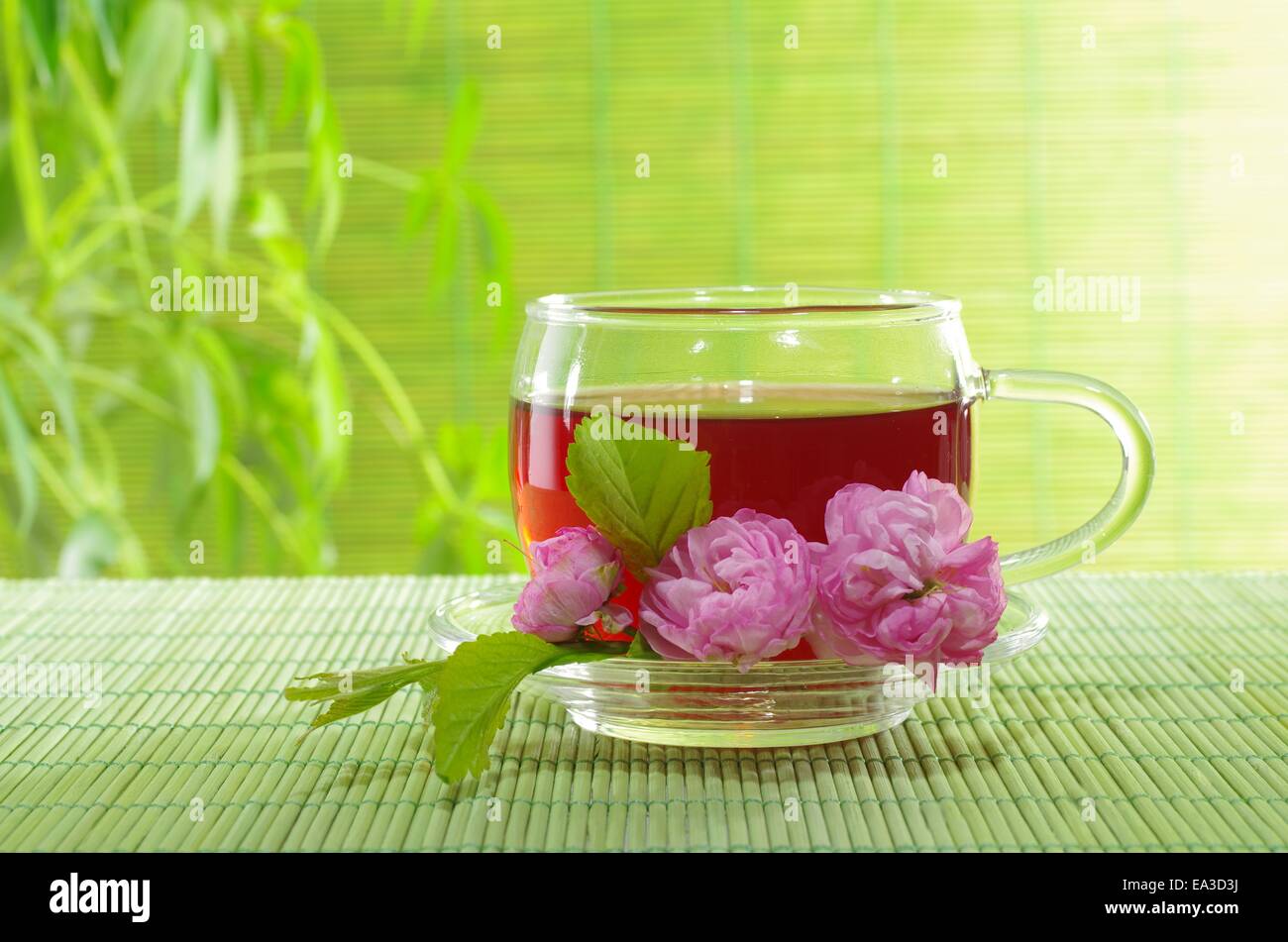 Tasse de thé dans la pourriture sur les plantes d'arrière-plan' Banque D'Images