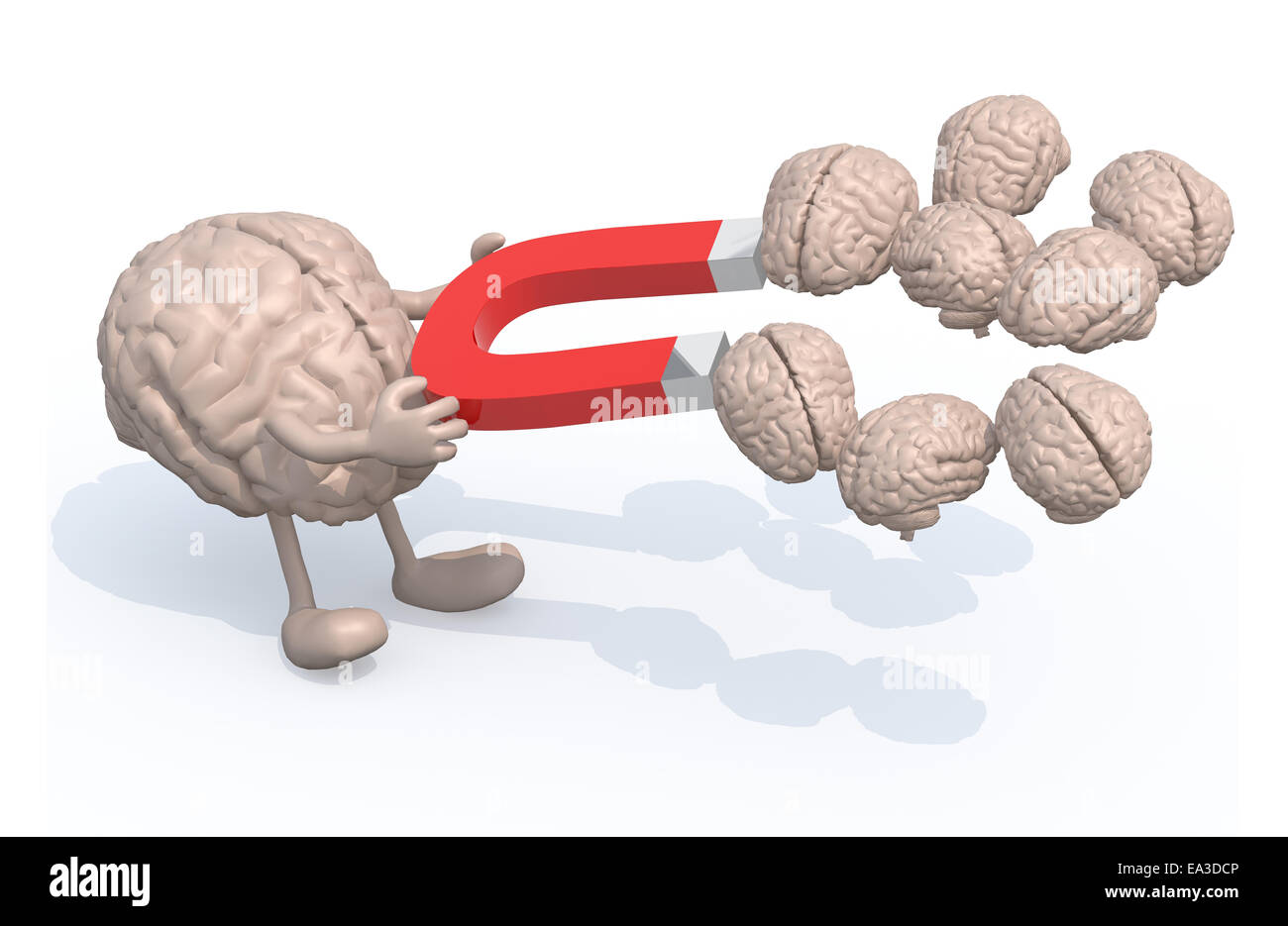 Cerveau humain avec les bras, les jambes et l'aimant sur les mains, attraper beaucoup de d'autres cerveaux, 3d illustration Banque D'Images