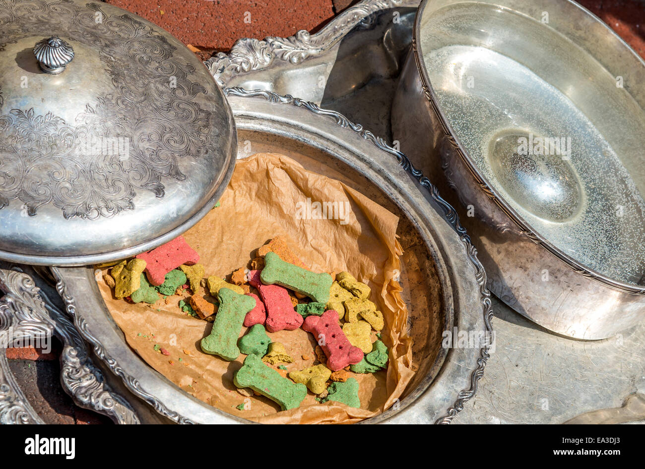 Biscuits pour chiens et de l'eau de vaisselle en argent. Banque D'Images