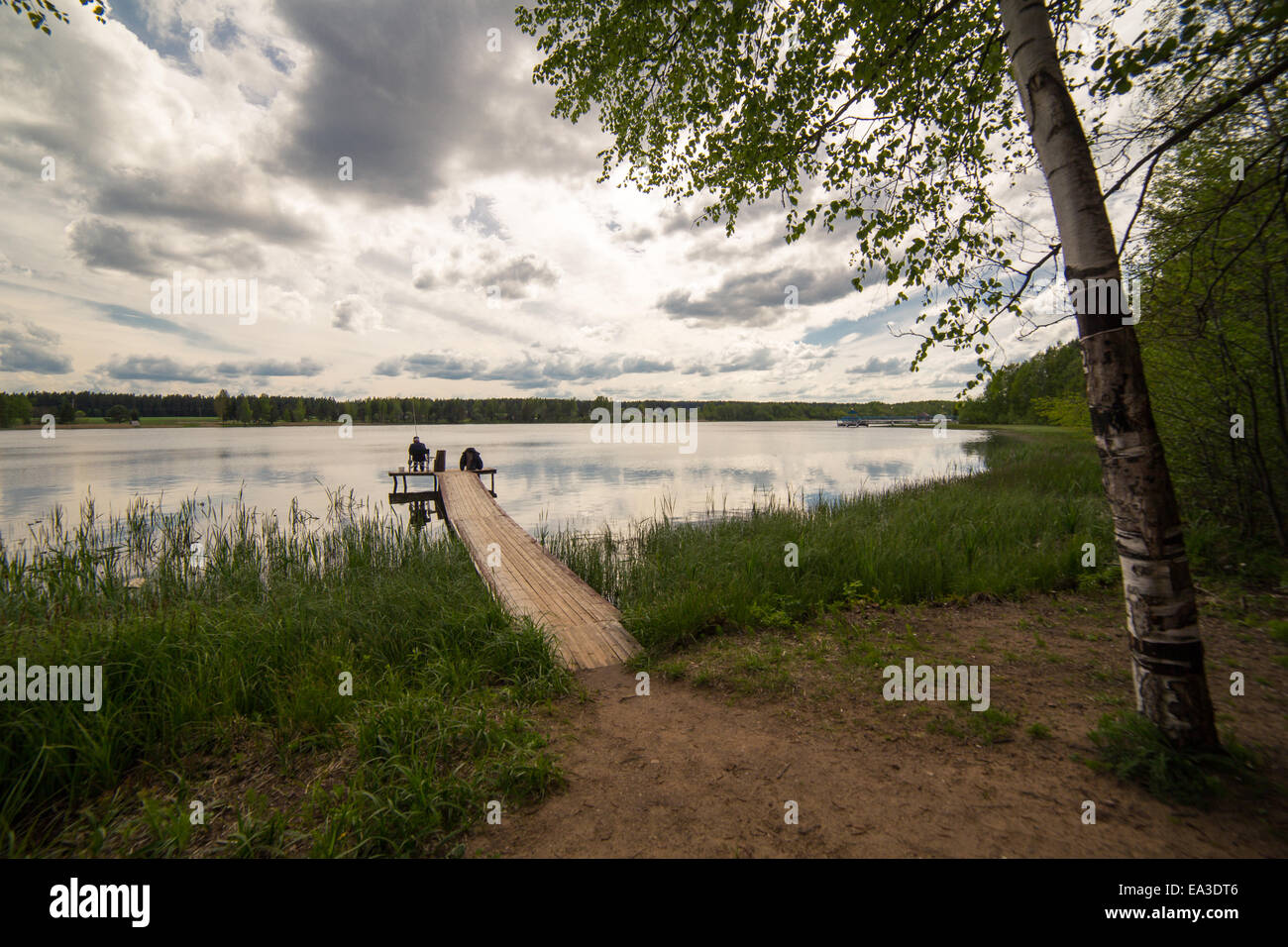 Forest lake, région de Vitebsk, Biélorussie Banque D'Images