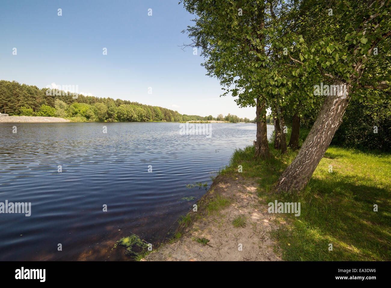 Mukhavets river, de la région de Brest, en Biélorussie Banque D'Images