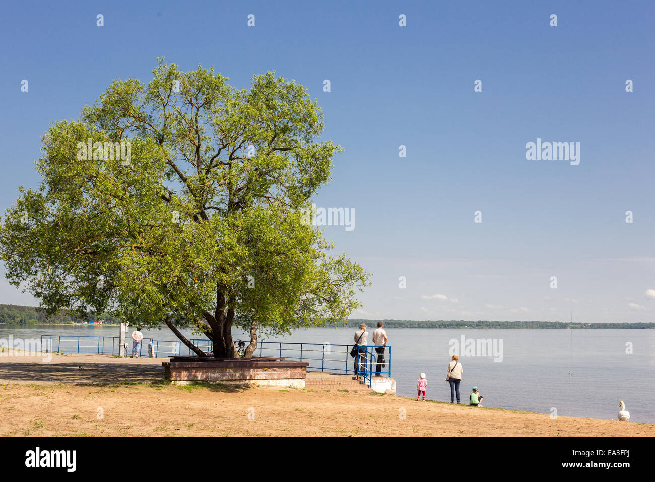 Narach Lake, région de Minsk, Bélarus Banque D'Images