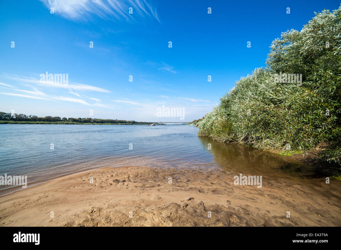 La rive de la rivière Oka, dans la région de Moscou, Russie Banque D'Images