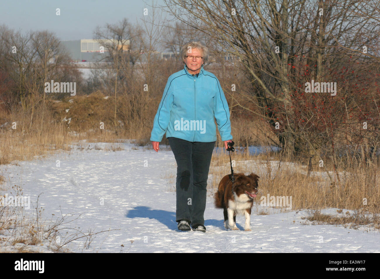 promener le chien Banque D'Images