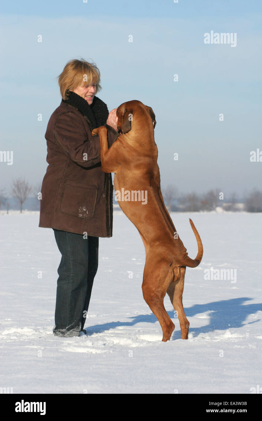 Femme avec le Rhodesian Ridgeback Banque D'Images