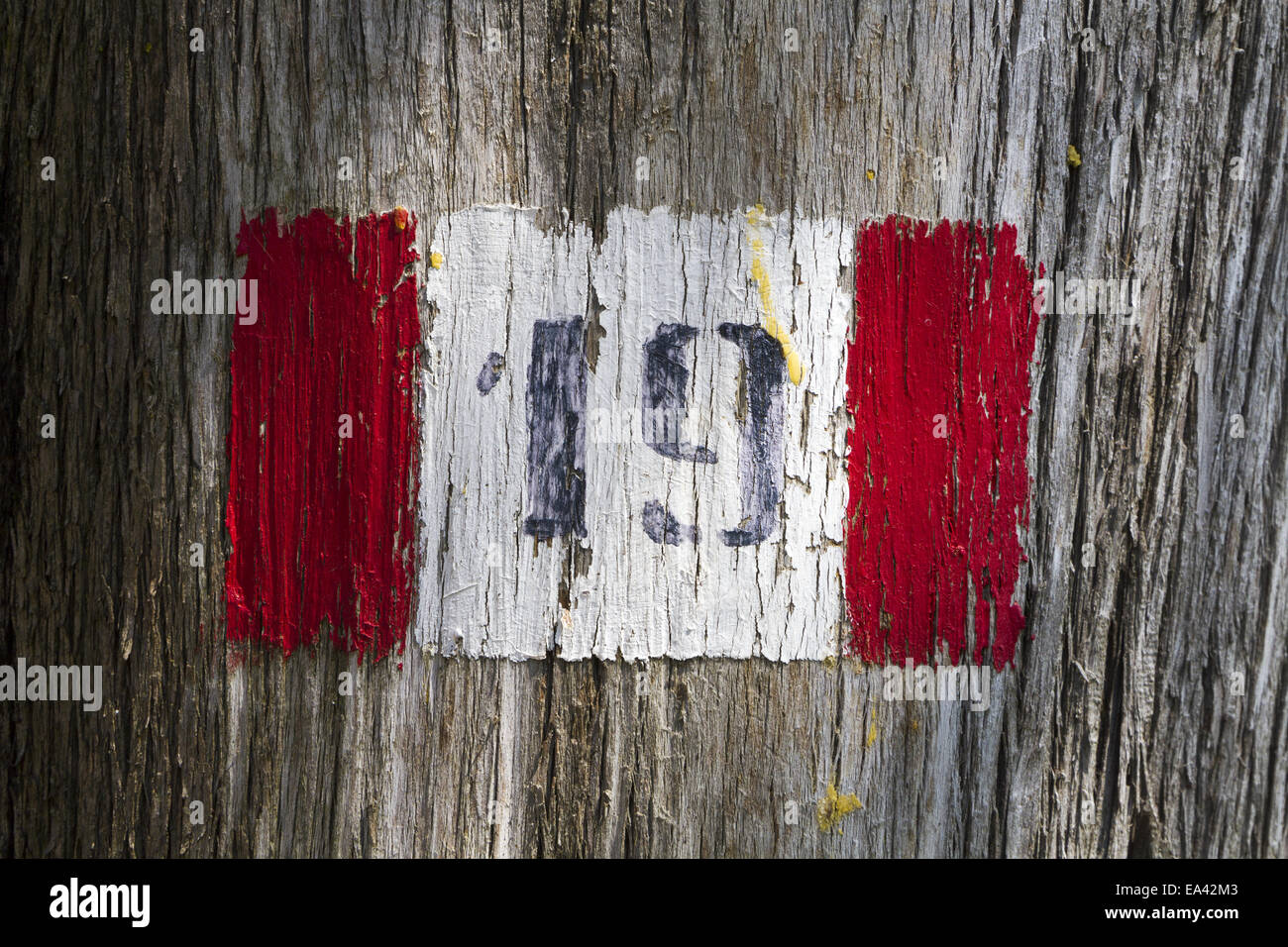 Chemin de randonnée signe sur tree Banque D'Images