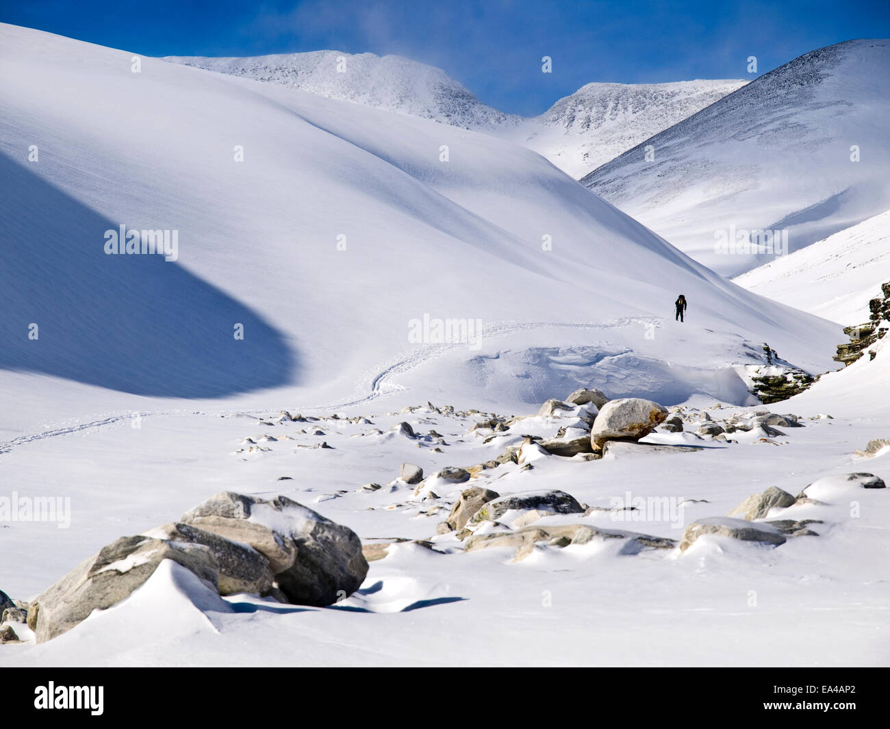 Tourer Ski Ski de randonnée en montagnes Rondane, Norvège Banque D'Images