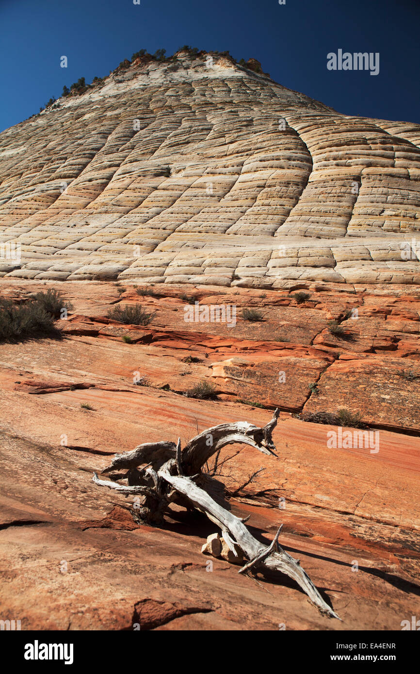 Mesa Damier de Sion Mt. Carmel Highway, Zion National Park, Utah, United States of America Banque D'Images