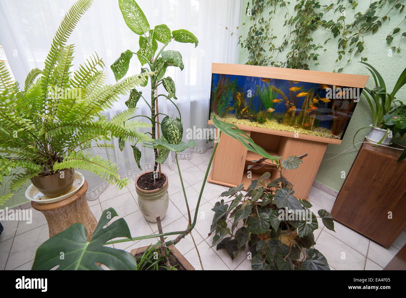 Prix interior design avec aquarium Banque D'Images
