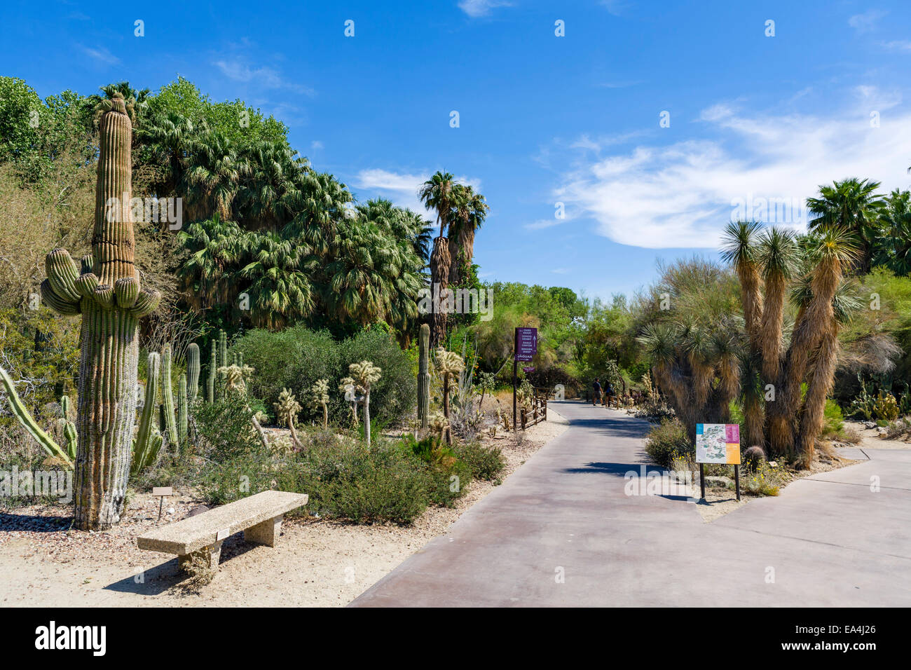 Jardins et Zoo Living Desert, Palm Desert, dans le Comté de Riverside, Californie du Sud, USA Banque D'Images