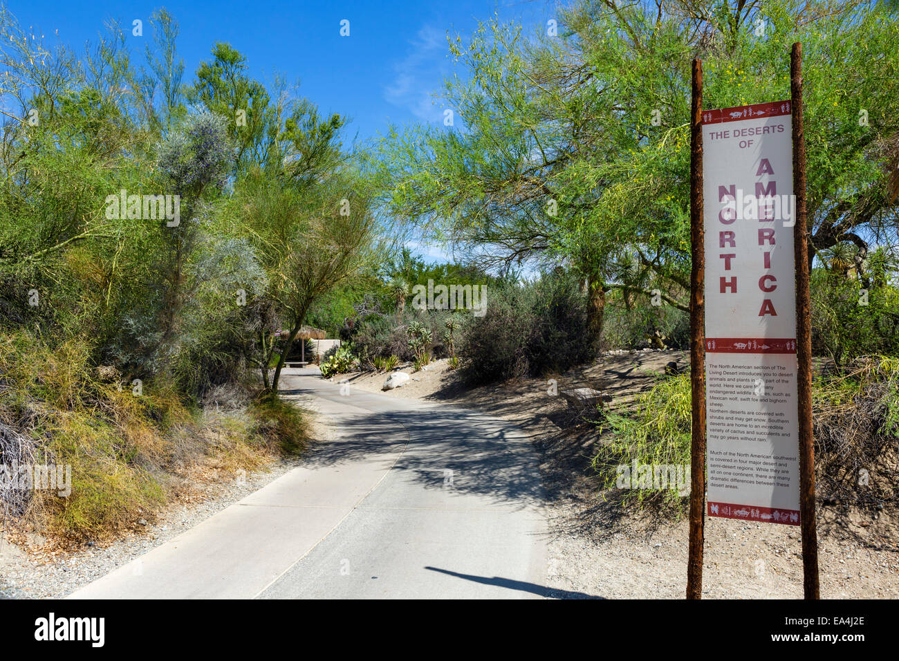 Jardins et Zoo Living Desert, Palm Desert, dans le Comté de Riverside, Californie du Sud, USA Banque D'Images