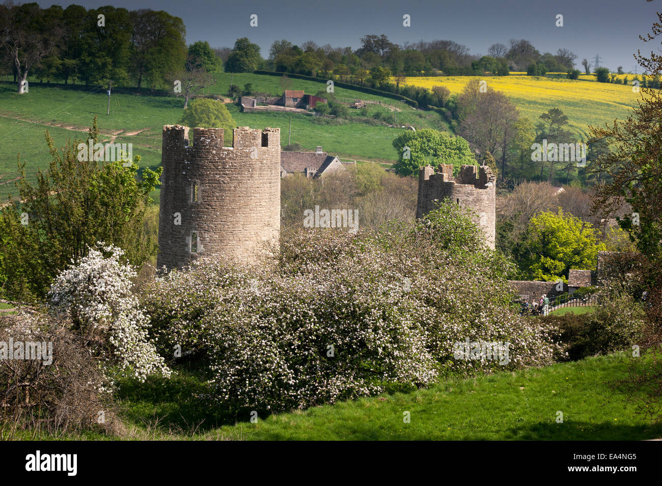 Les ruines de tours de Farleigh Hungerford Castle dans le Wiltshire Banque D'Images