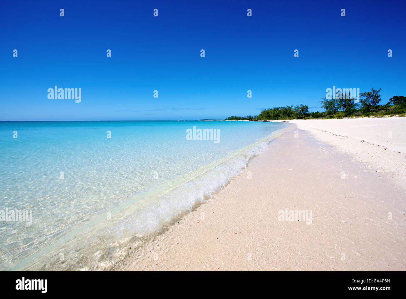 Plage de sable blanc le long de la côte de l'île de Vamizi ; Mozambique Banque D'Images