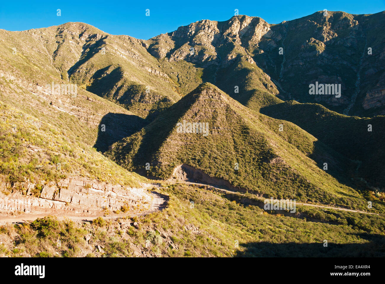 Chemin de terre raide dans les Andes ; Mendoza, Argentine Banque D'Images