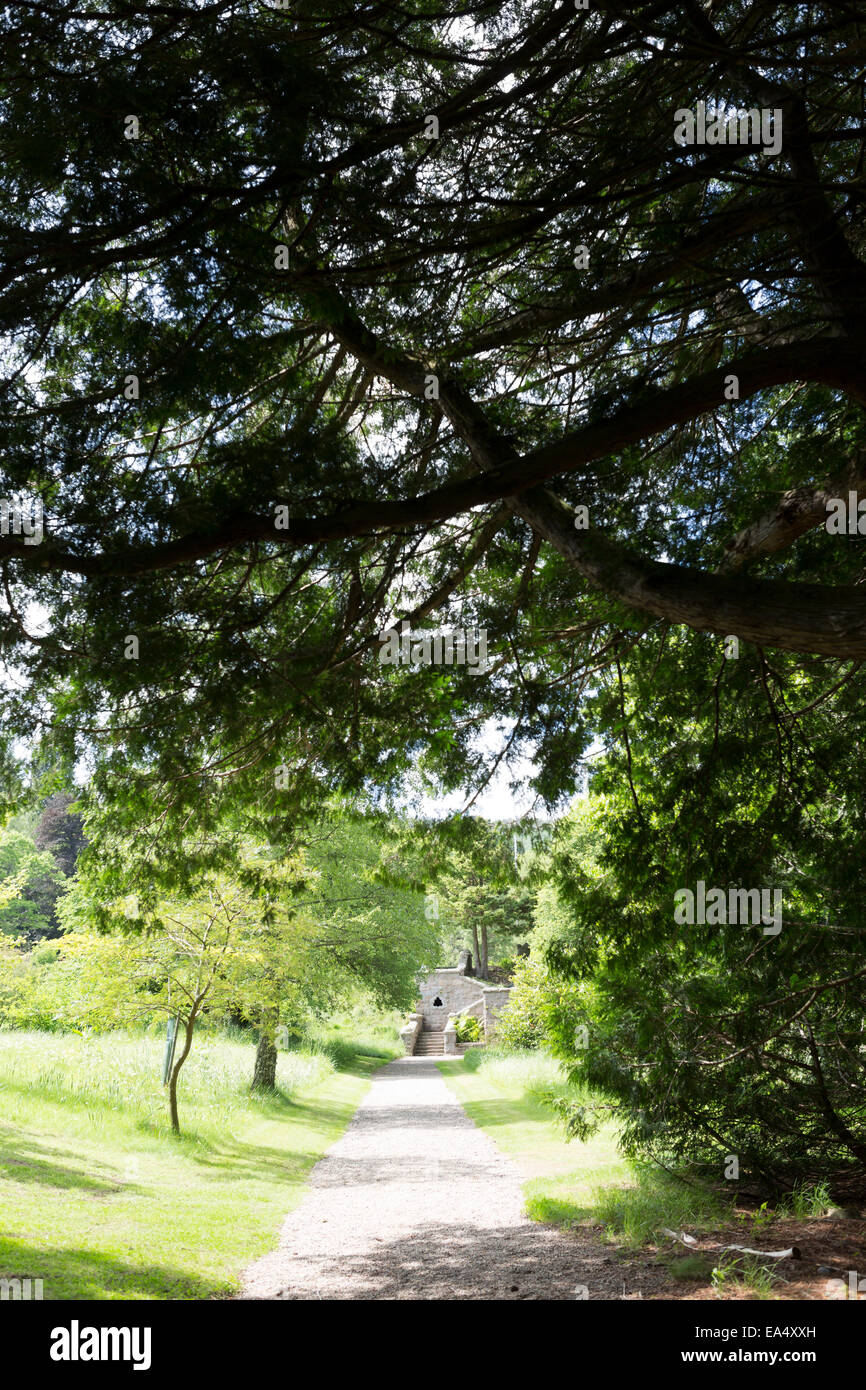 Chemin avec des arbres et de la verdure. Banque D'Images