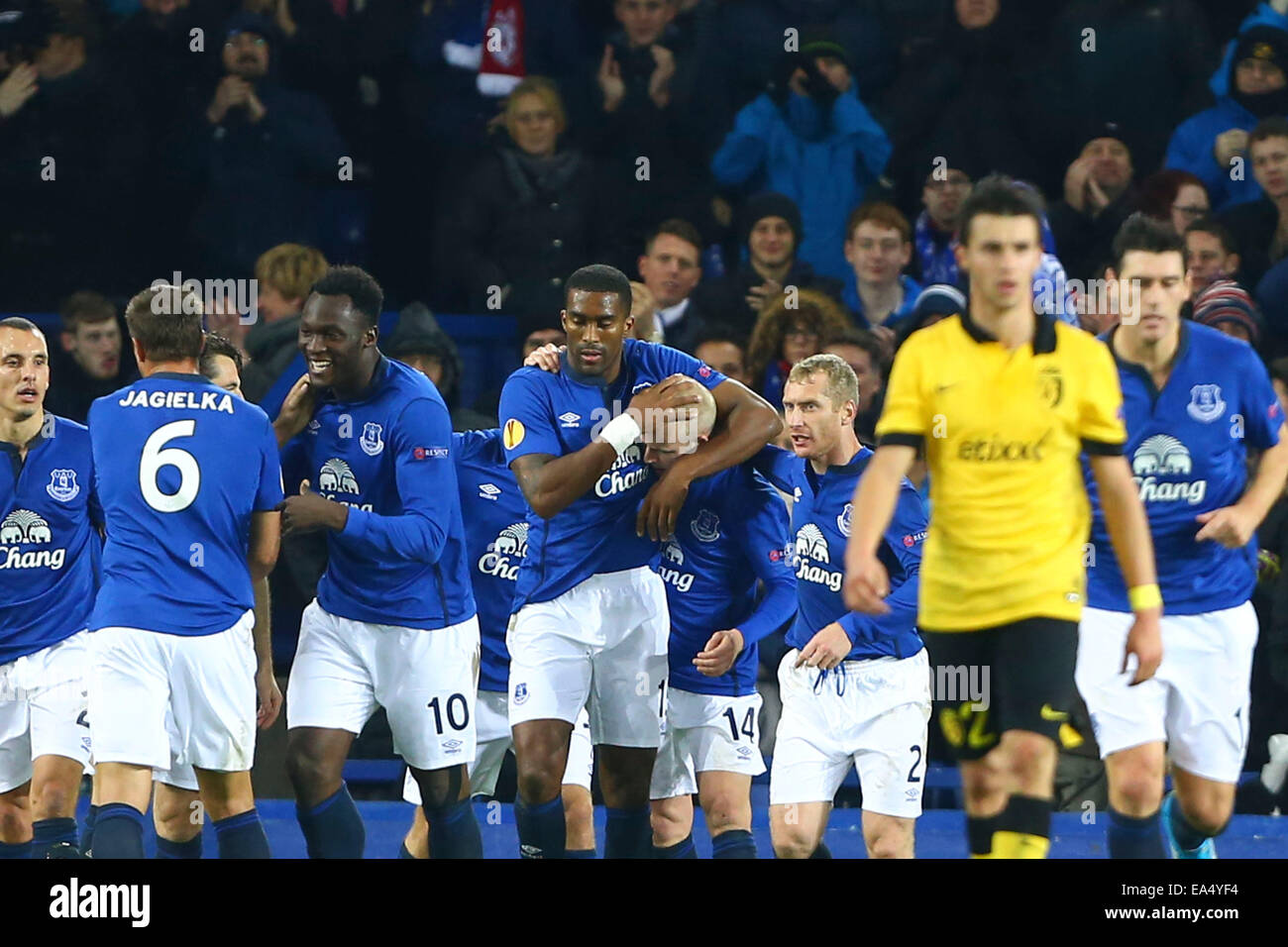 Liverpool, Royaume-Uni. 08Th Nov, 2014. Ligue Europa phase de groupes. Everton contre Lille. Steven Naismith (Everton) célèbre avec ses coéquipiers : Action Crédit Plus Sport/Alamy Live News Banque D'Images