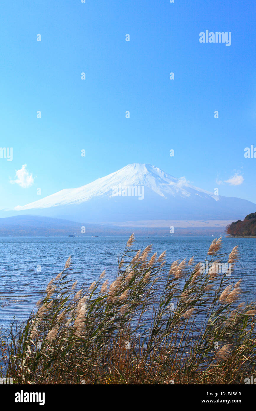 Vue du Mont Fuji Banque D'Images