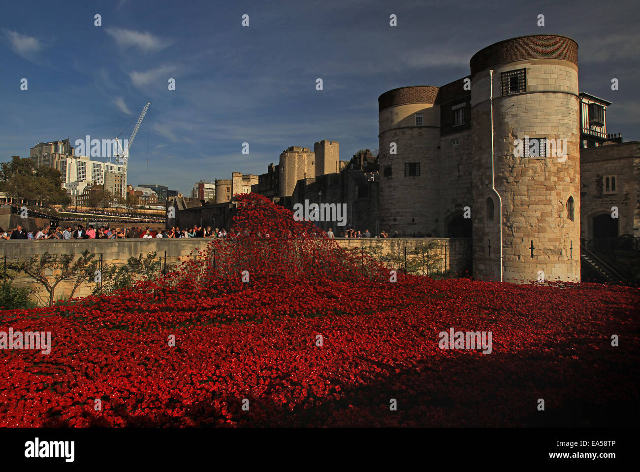 L'installation de pavot céramique terres et mers de sang ont balayé de rouge à la Tour de Londres Banque D'Images