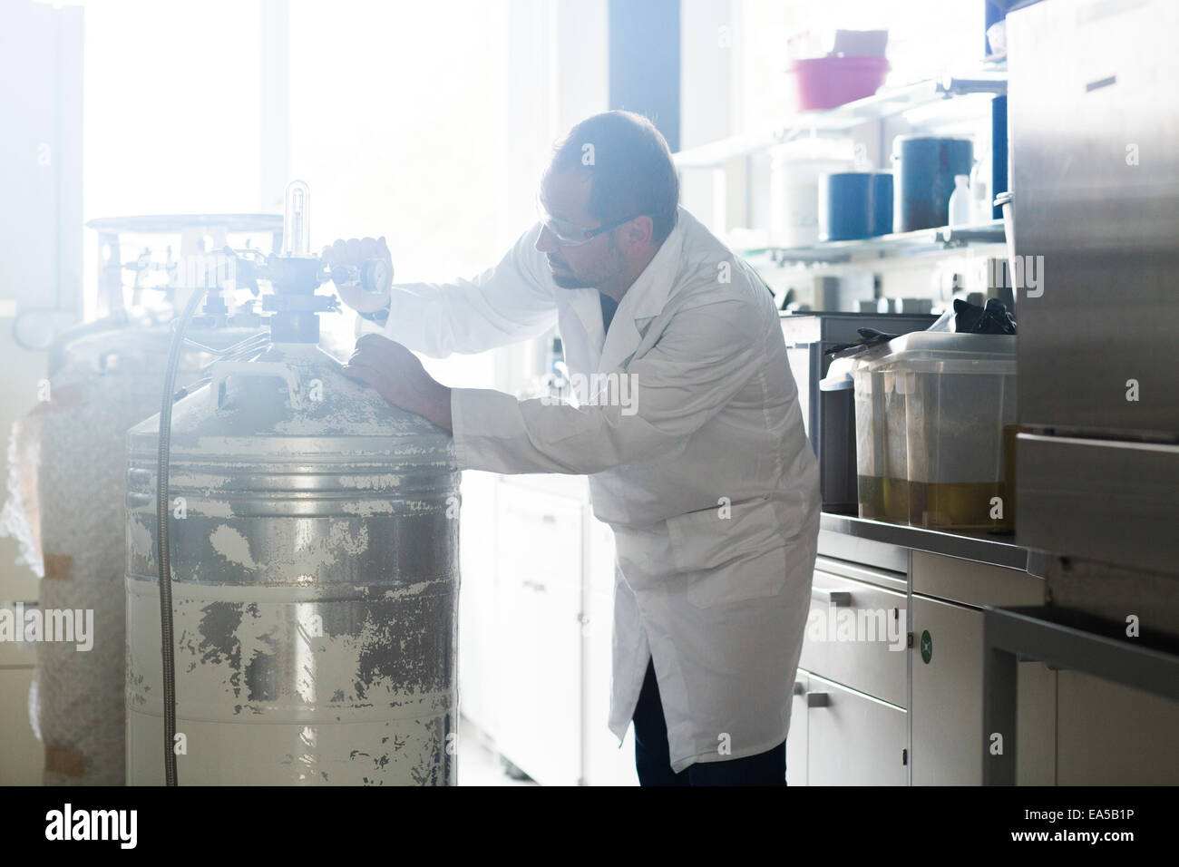 La concentration d'azote contrôle chimiste dans un laboratoire Banque D'Images