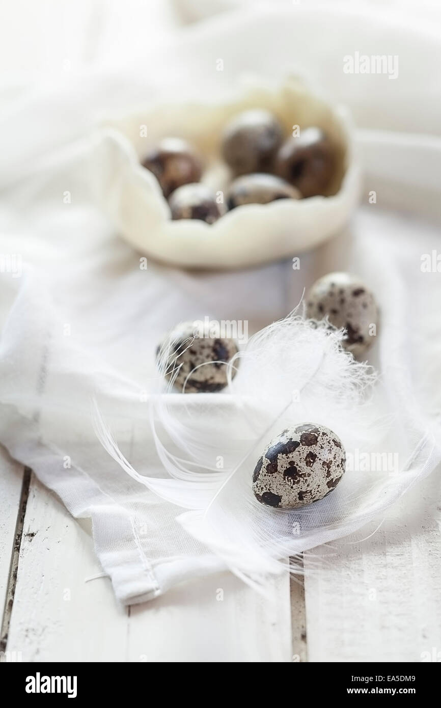 Oeufs de cailles et une plume sur le chiffon et le bois blanc Banque D'Images
