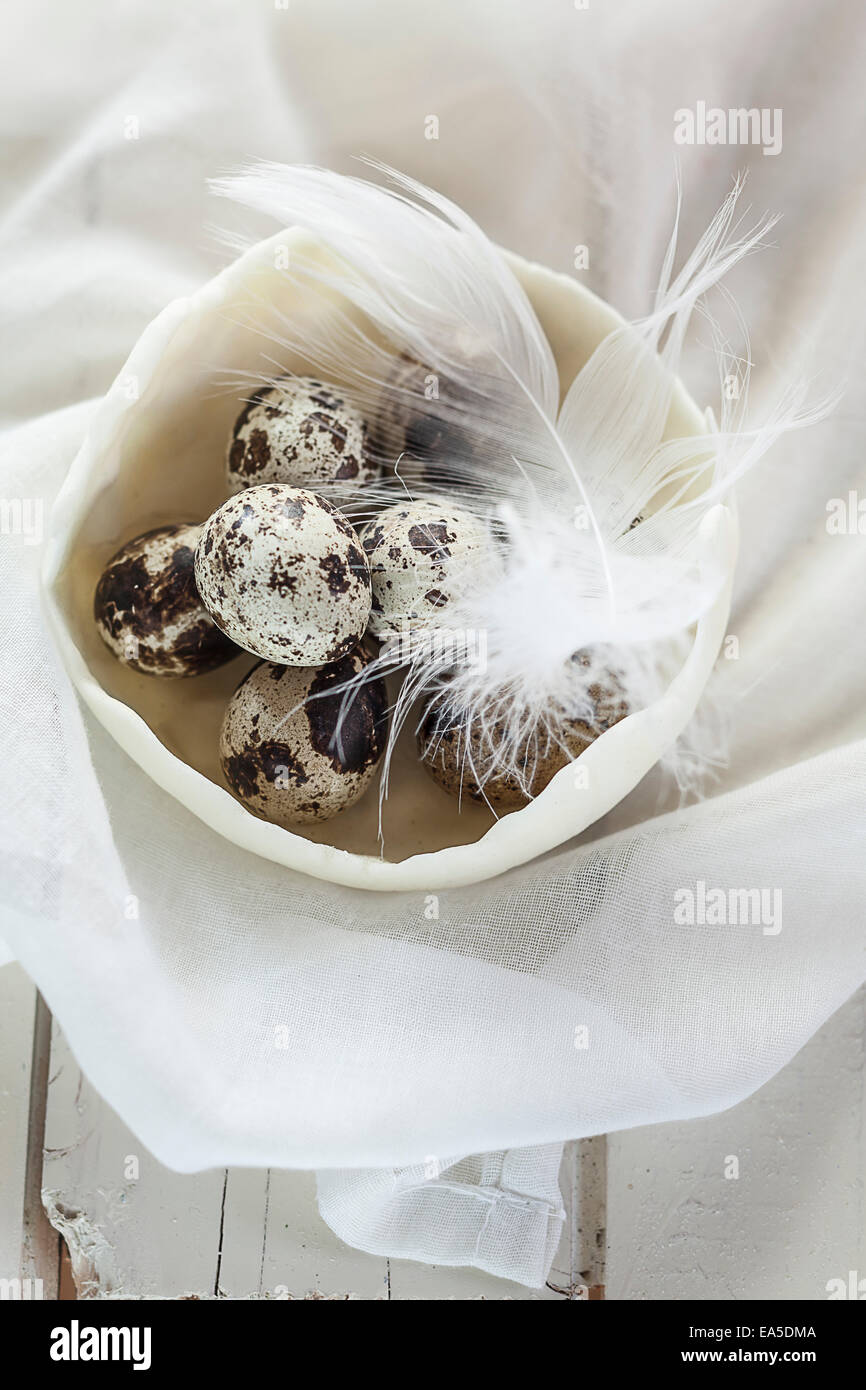 Bol d'oeufs de caille, plume et chiffon sur le bois blanc Banque D'Images