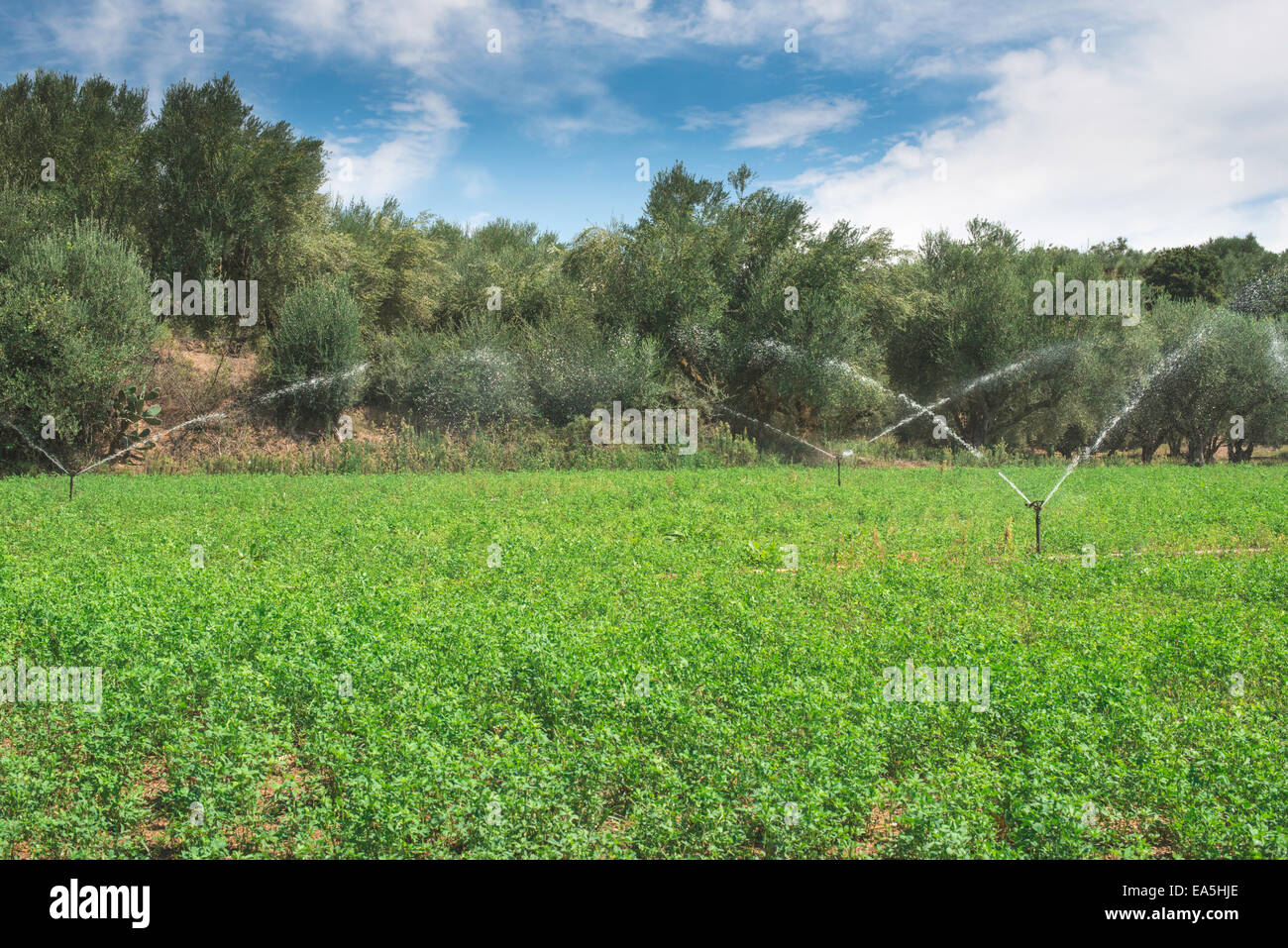 Les systèmes d'irrigation. Ciel bleu Banque D'Images
