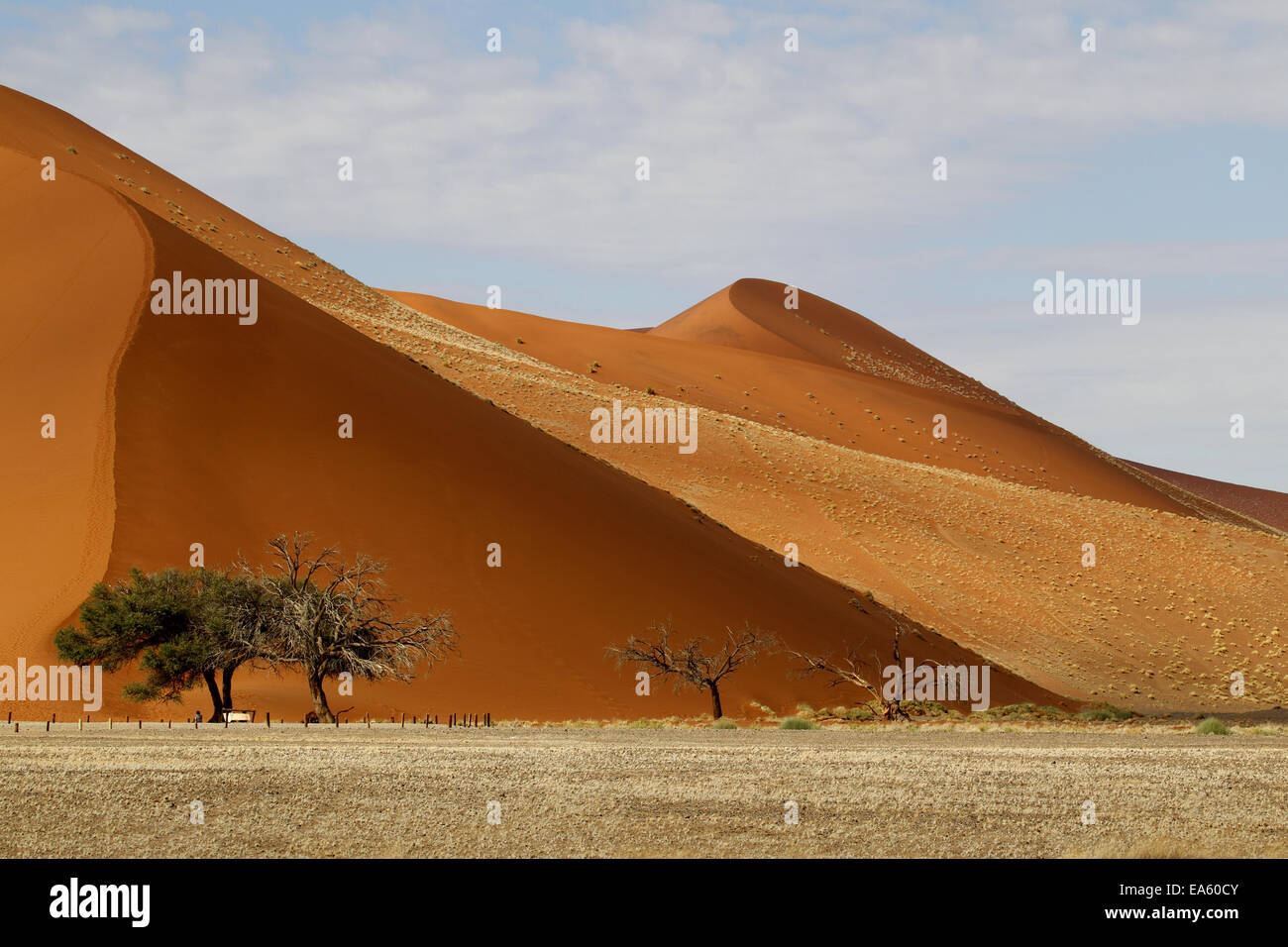 Paysage désertique, Sossusvlei, Namibie Banque D'Images