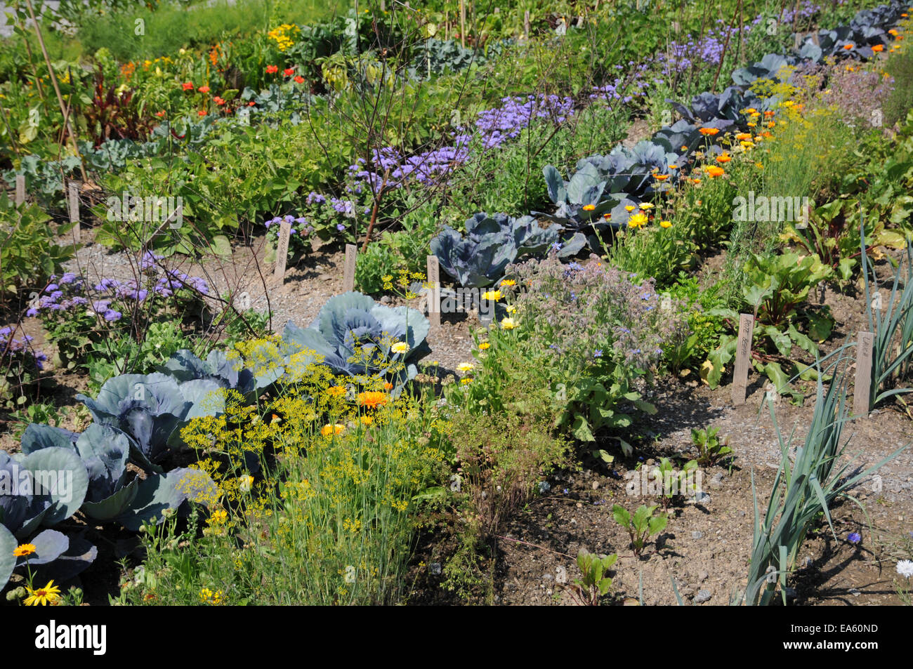 Garden Cottage Banque D'Images