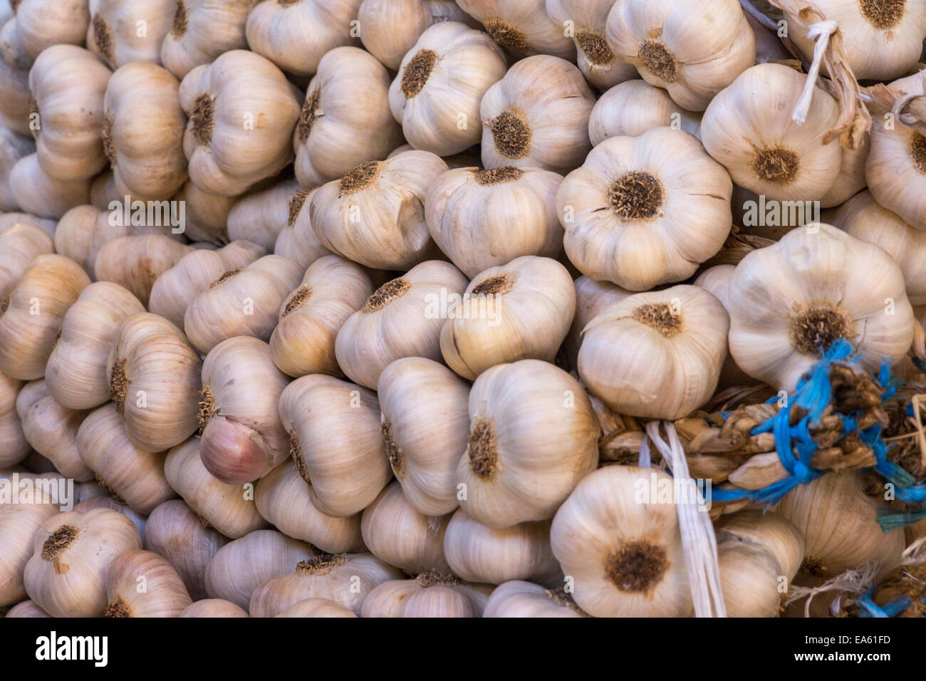 L'ail à la vente sur le marché Banque D'Images