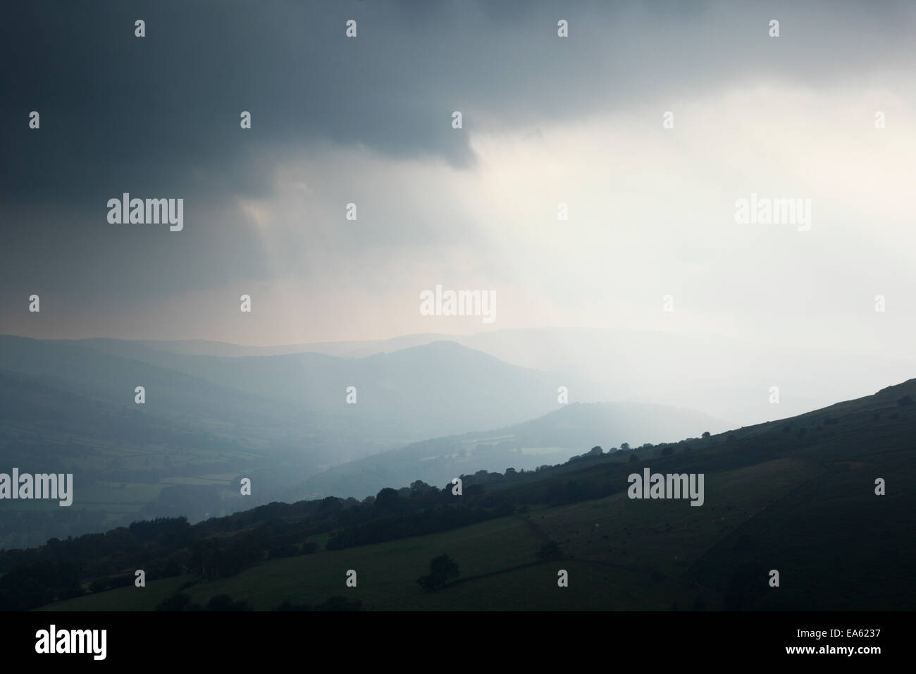 Jour brumeux de l'été dans les Montagnes Noires. Le Parc National des Brecon Beacons. Le Pays de Galles. UK. Banque D'Images