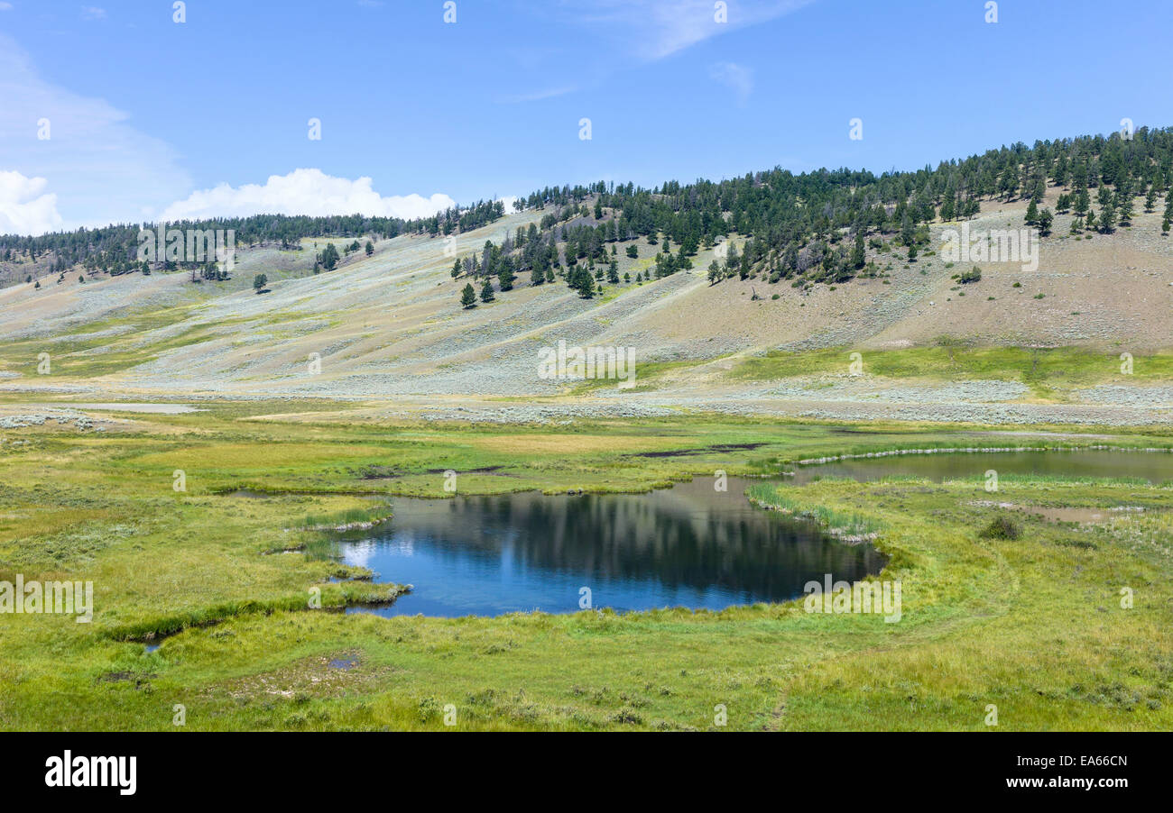 Un étang d'eau douce flanquée par les pentes de la colline bordée de pins sur un beau matin d'été, West Yellowstone, Wyoming, USA Banque D'Images
