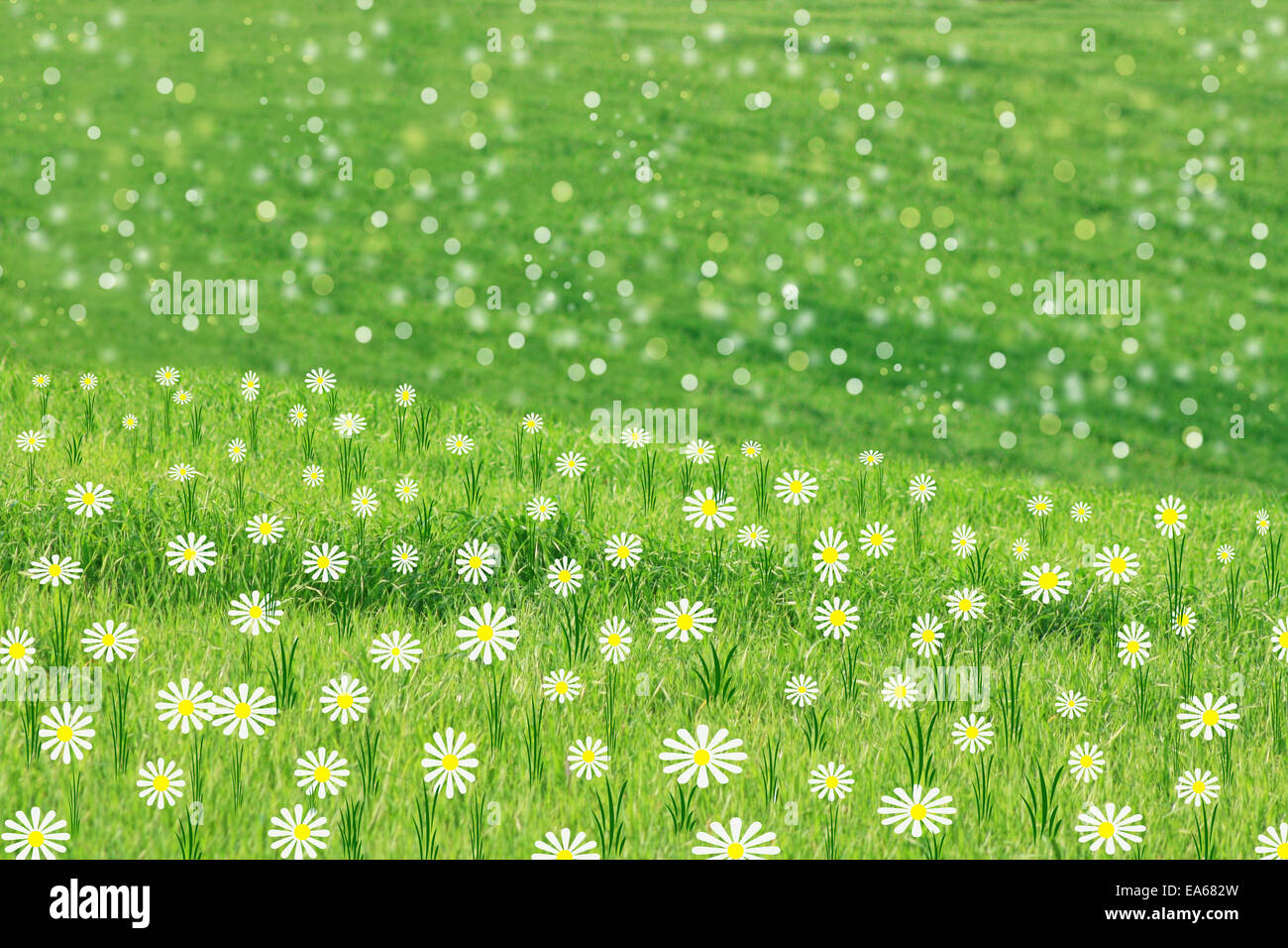 Green spring meadow background Banque D'Images