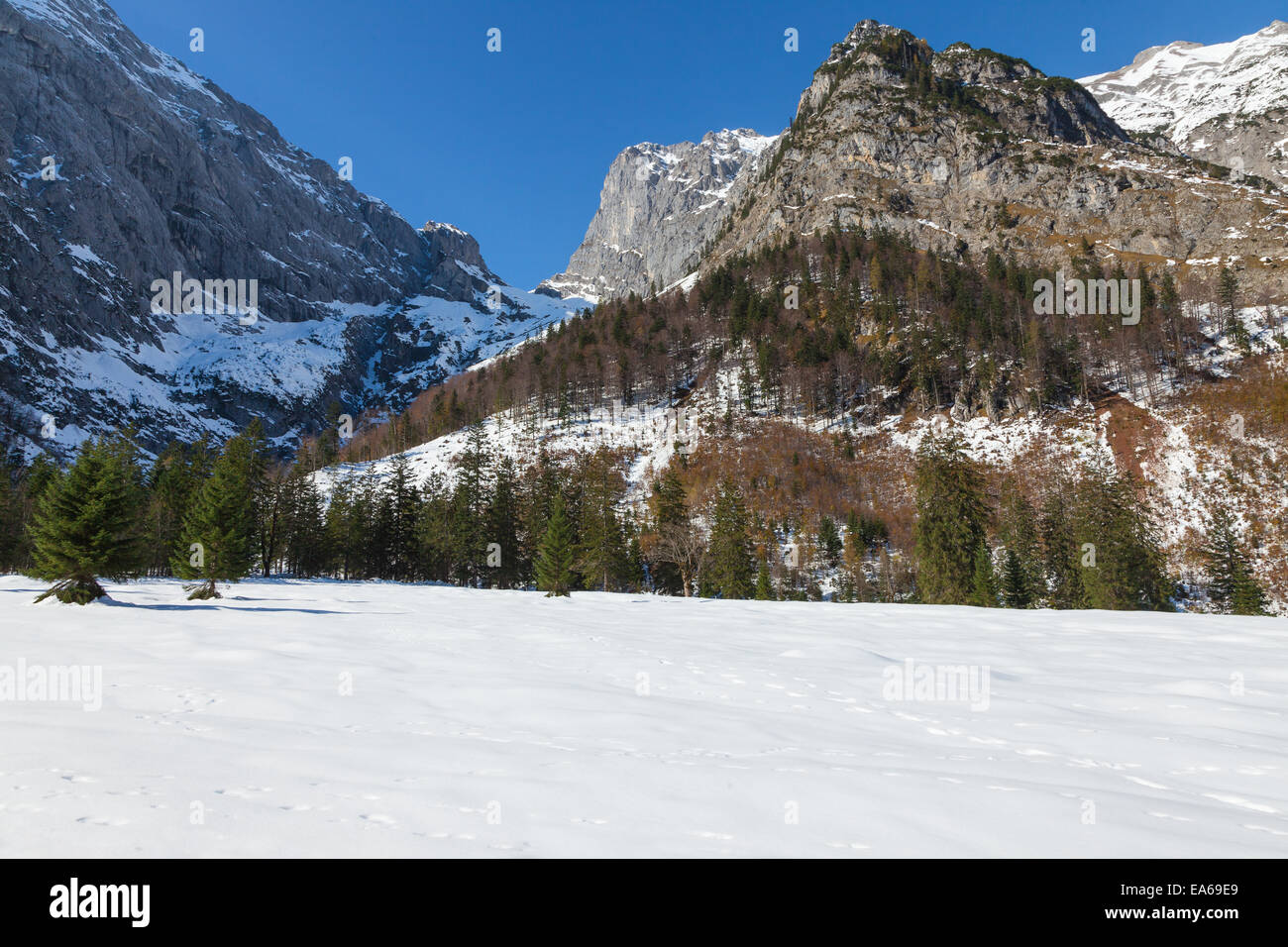 Paysage de montagne Alpes Alpine.Tyrol, Autriche. Banque D'Images